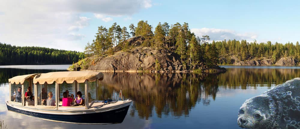 Norpparetket lähtevät toukokuussa Okkolasta